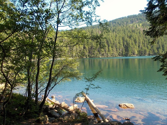 Šumavské jezero